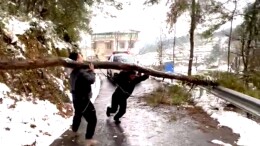 泸溪小章乡：除残雪排患保安全