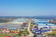 镇头镇：油茶飘香富百姓 “浏河明珠”话振兴