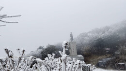 组图 | 瑞雪下的双牌