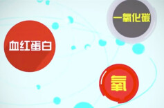 视频丨一氧化碳中毒有多可怕？