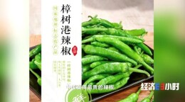 一斤卖300元，辣椒中的“茅台”？！你吃过吗？