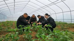 双峰沙塘乡为推进乡村振兴工作开好局