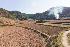 泸溪解放岩乡：高标准起步高质量发展2022年烟叶产业