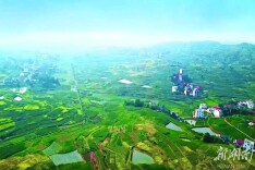 黄土铺镇：灿灿萱花草 勃勃产业兴