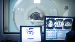 包揽多项全国冠军！湖南这个“低调”产业藏不住了