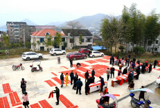 书画名家公益送春联下乡