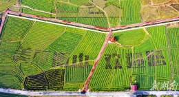 开云镇：标准化建设打造美丽幸福乡镇