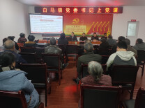 白马镇党委书记上党课