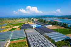 做活“三水”文章   壮大集体经济 ——湖南省农业农村厅驻泸溪县五果溜村发展村级集体经济速写