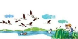 岳阳豚迷参与辽东湾湿地生态保护研讨会