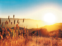 梓门桥镇：节前慰问送温暖 真情祝福暖民心