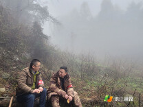 护林员易付平：春节“不打烊”站好每一班岗