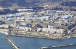 被检出辐射超标！日本暂停一种海鱼上市销售