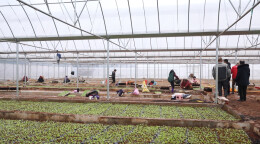 江华：抢抓农时开好春 温室大棚育苗忙