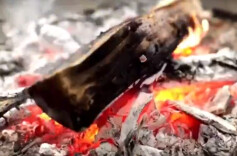 应急科普丨这些“防火防中毒”科普小贴士要收好