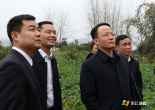 洪江市委书记郑小胡在安江调研时强调：坚决把影响环境问题的顽瘴痼疾整治到位