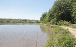 金融春风助春耕  不误农时不负春