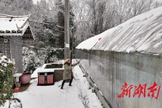 木脚村：迎风战雪，护航产业安全