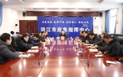 洪江市委书记郑小胡：坚决打好本轮低温雨雪冰冻灾害阻击战