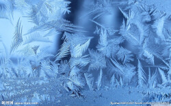 锁石镇积极行动抗击恶劣天气