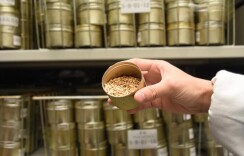 透过“一号文件”，看种业硅谷发展图景