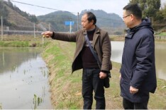 张家界农商银行：绵绵支持 粒粒稻穗成“致富米”