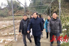 省人防办乡村振兴工作队：为木脚村农业振兴插上航天科技的“翅膀”