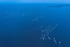 省发改委发文明确5项重点任务 推动大通湖流域综合治理与可持续发展