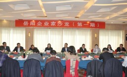 有温度的企业家沙龙打造服务民营经济“岳阳品牌”