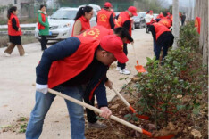 金开街道开展义务植树活动