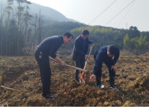 双牌：深入联系村 种植果树忙