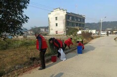 荷叶镇:党群齐上阵 共建“靓”家园