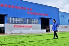 微雨众卉新,一雷惊蛰始。巴陵大地筑陂处处待春耕