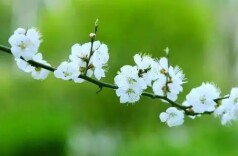 春日读书丨读一卷才女的掌上心事，邂逅她们的波澜与才情