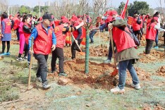 党员领航融城添绿 多元力量共筑美丽湘江岸线