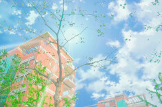 蓝田街道“送法进校园”