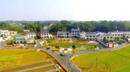 全力抓好农业生产，打造乡村振兴“韶山样板”