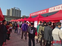 春风拂笑颜 就业暖民心