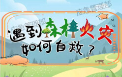 应急科普 | 遇到森林火灾怎么办？看漫画教你正确报警逃生！