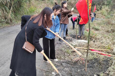 泸溪县文旅广电局：早春三月天，植树正当时