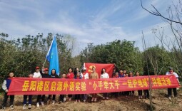 牵手种松桂，早晚见成林，启源外语实验学校师生与小树苗共成长