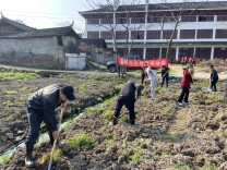 洪江市玉皇阁片区菜地、荒地换新颜