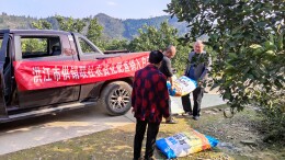 洪江市供销社：化肥直销入户助春耕