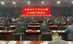 涟源市部署农业农村工作