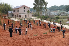 拥抱春天  长郡双语开展与小树苗一同成长活动