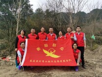 南岳农商银行开展义务植树活动