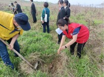 岳阳：公益诉讼不打“白条” 补植复绿抚平