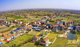 澧阳街道：五大振兴绘就幸福蓝图