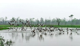 想研学来这里！岳阳新增7家省级研学旅游基地