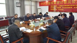 中共涟源市委审计委员会第五次会议召开